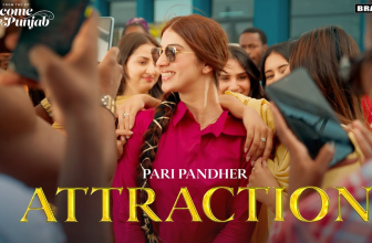 Attraction by Pari Pandher