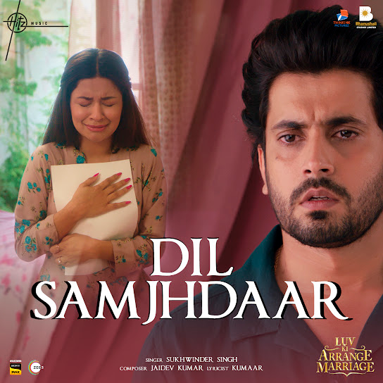 Dil Samajhdaar Lyrics Sukhwinder Singh (From 'Luv Ki Arrange Marriage')