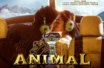 Hua Main Lyrics Raghav Chaitanya and Pritam (From 'Animal')