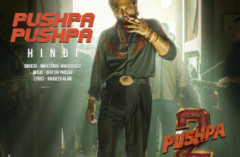 Pushpa Pushpa Lyrics in Hindi Mika Singh and Nakash Aziz (From 'Pushpa 2 The Rule')