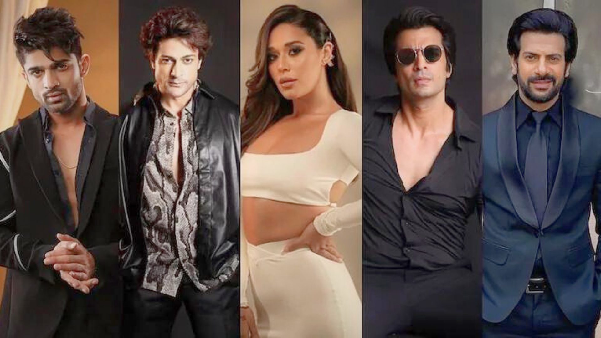 Who Will Be the Champion of Khatron Ke Khiladi 14